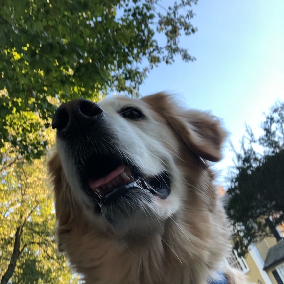 Meet your Posher, Ashley - Picture 1 of 1